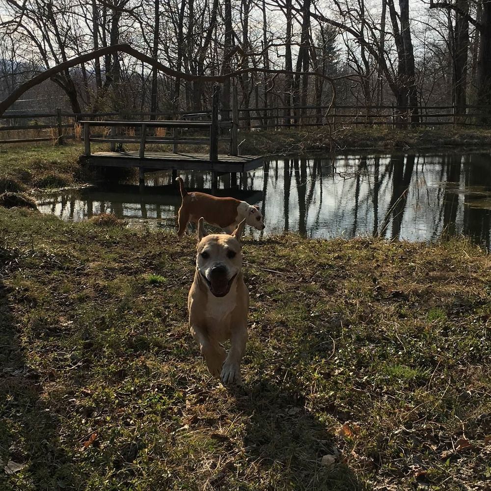 Meet your Posher, Maggie